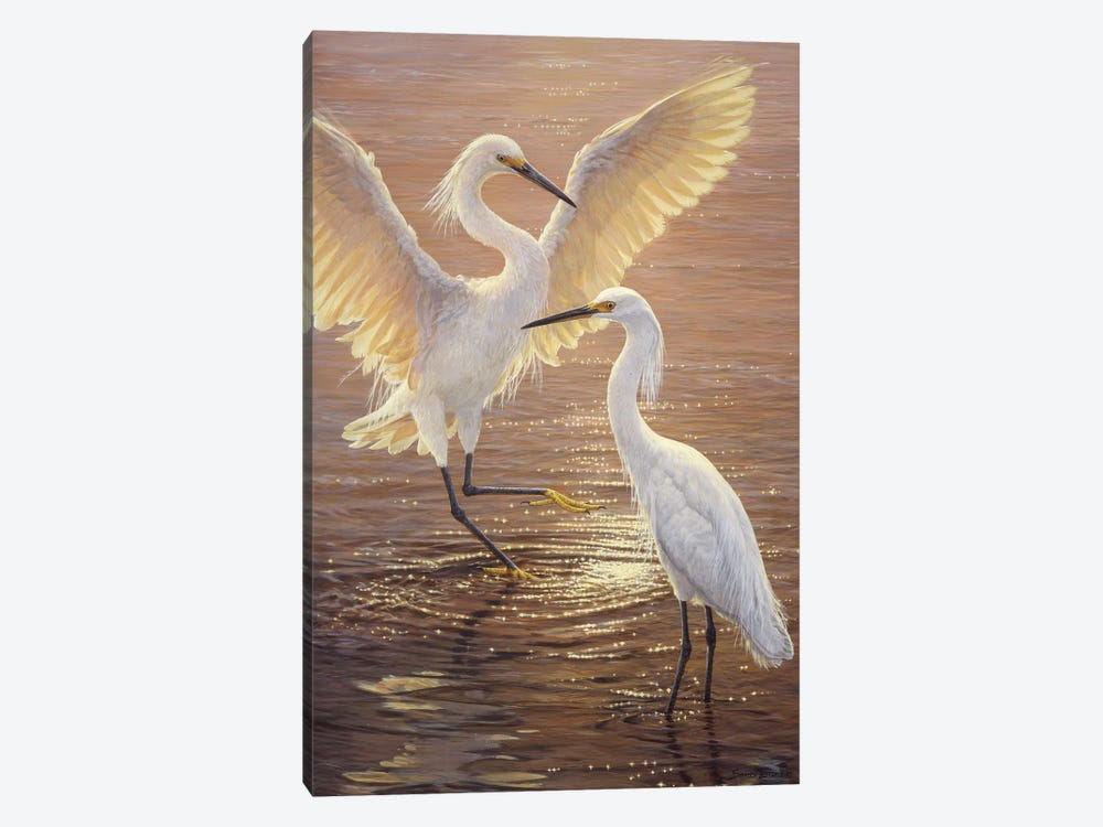 Evening Duet - Snowy Egrets by John Seerey-Lester 1-piece Art Print