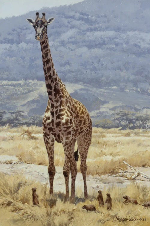 Extremes - Giraffe and Mongoose by John Seerey-Lester wall art
