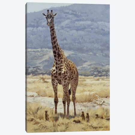 Extremes - Giraffe and Mongoose Canvas Print #NYL9} by John Seerey-Lester Canvas Art Print