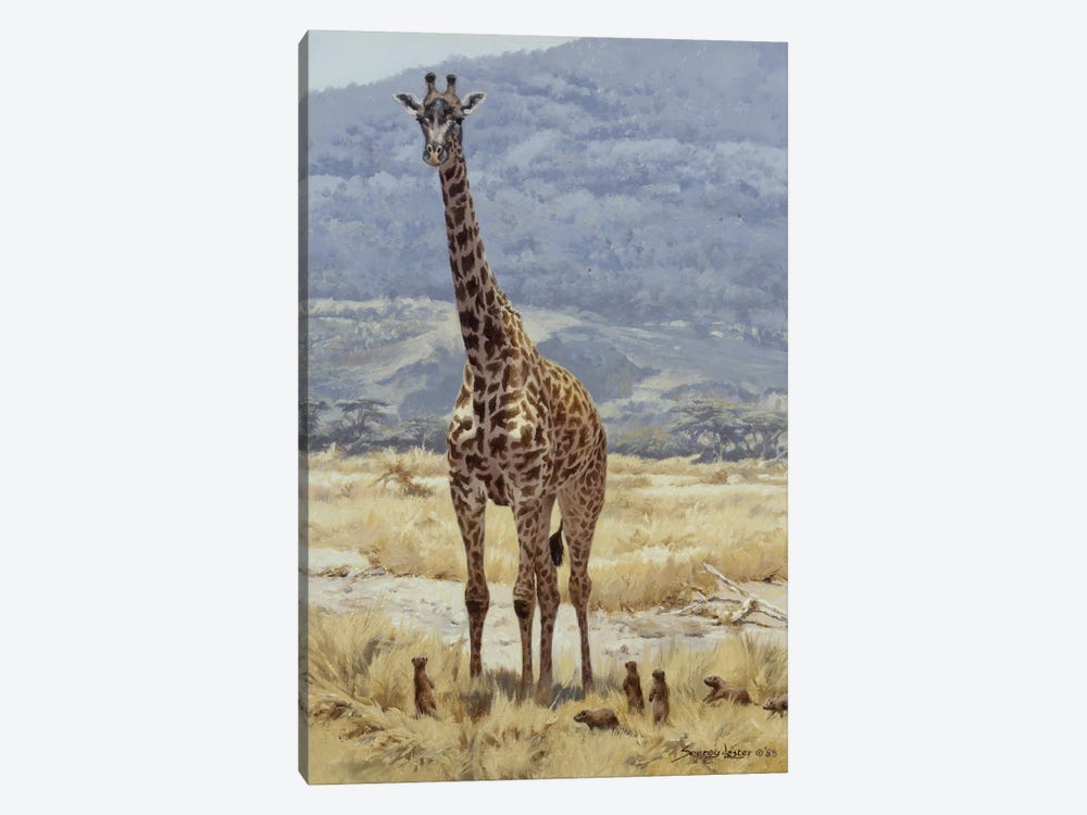 Extremes - Giraffe and Mongoose by John Seerey-Lester 1-piece Canvas Art