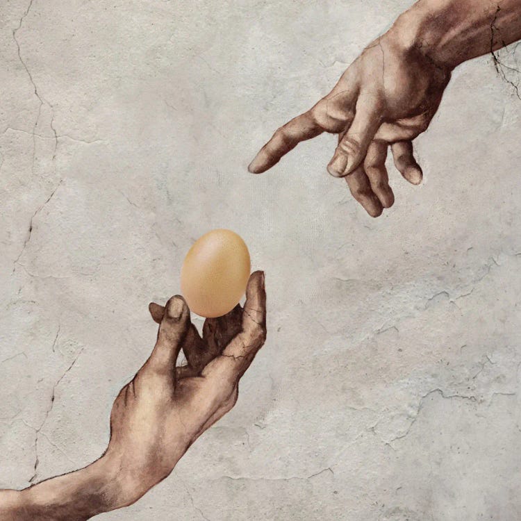 Creation Of Egg