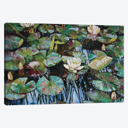 White Water Lilies Canvas Print #NZS34} by Nadezda Stupina Canvas Artwork