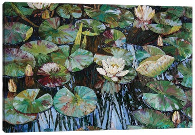White Water Lilies Canvas Art Print - Nadezda Stupina