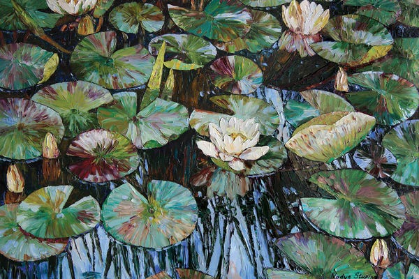 Water Lilies: White Water Lilies by Nadezda Stupina