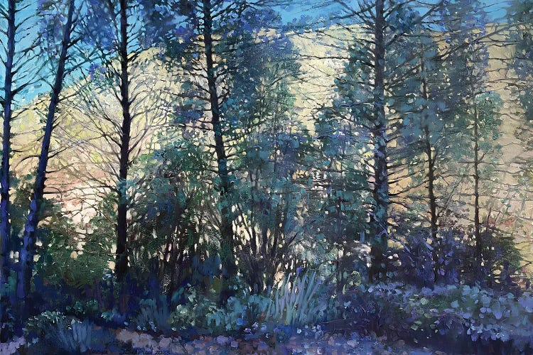Lace Of The French Alps by Nadezda Stupina wall art
