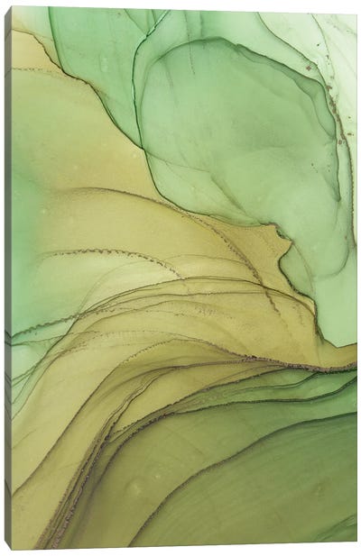 Olive VII Canvas Art Print - Celery