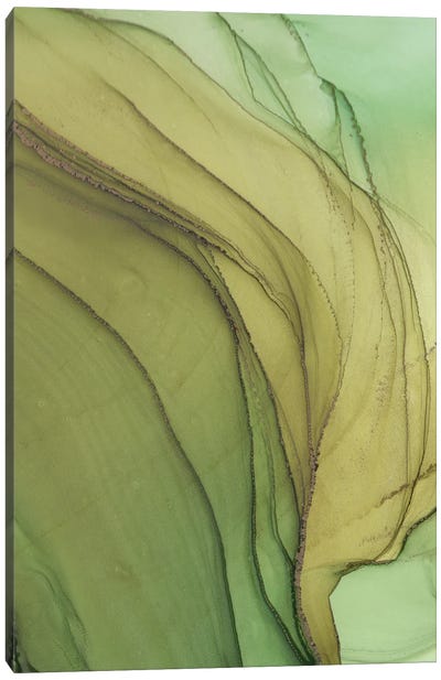 Olive VIII Canvas Art Print - Celery