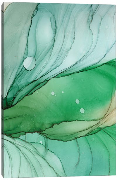 New Inspiration II Canvas Art Print - Green with Envy