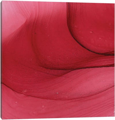 Kiss Canvas Art Print - Red Abstract Art