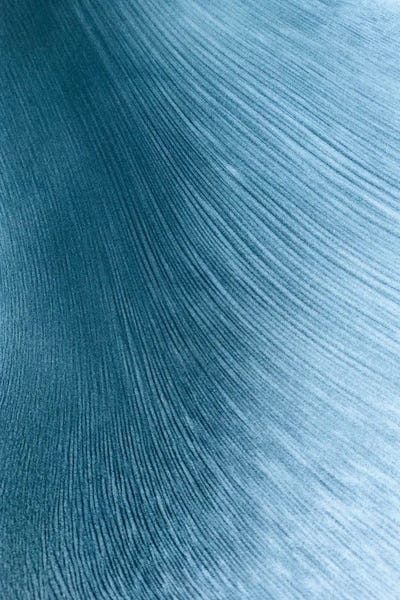 Zen Bedroom: Sea Shine by Monet & Manet Art Studio