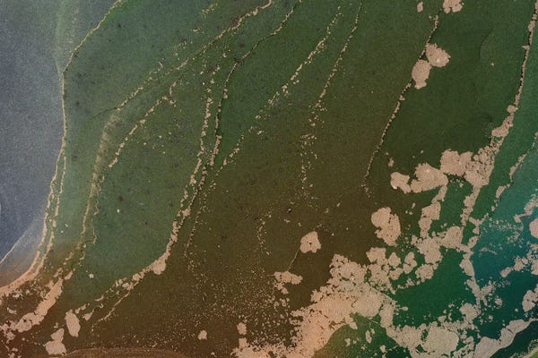 Alcohol Ink: In The Microscope by Monet & Manet Art Studio