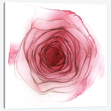 Pink Rose Canvas Print #OAA59} by Monet & Manet Art Studio Canvas Art Print