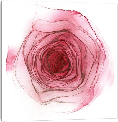 Pink Rose Canvas Art Print - Monet & Manet Art Studio