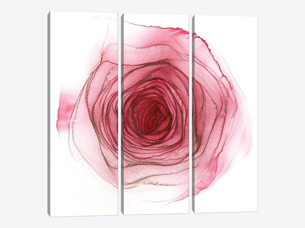 Pink Rose by Monet & Manet Art Studio 3-piece Art Print