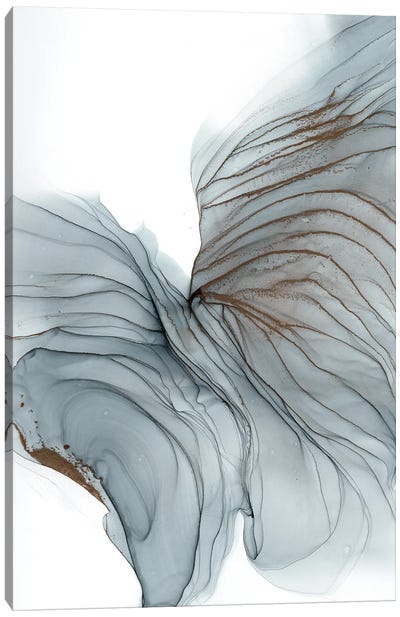 Butterfly Canvas Art Print - Professional Spaces