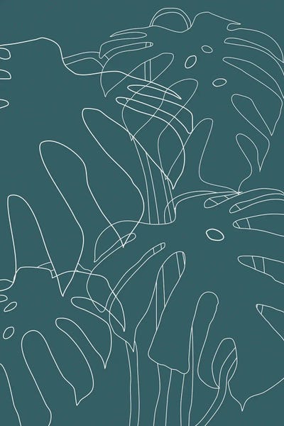 Monsteras: Monstera No2 Teal by The Old Art Studio