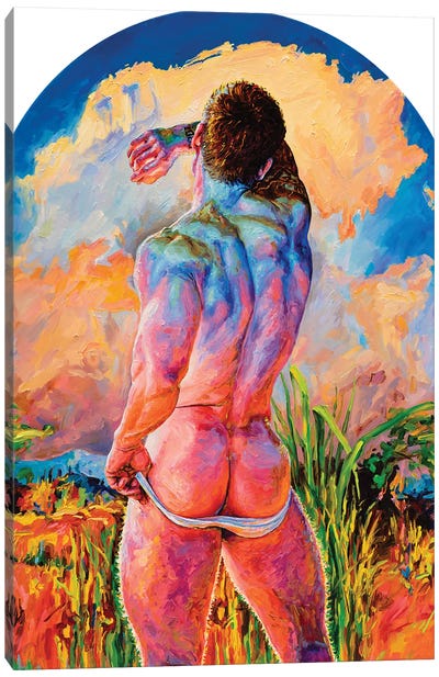 Sunset 2023 Canvas Art Print - Male Nude Art