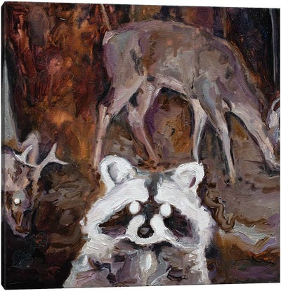 Nocturnal Animals II Canvas Art Print - Raccoon Art