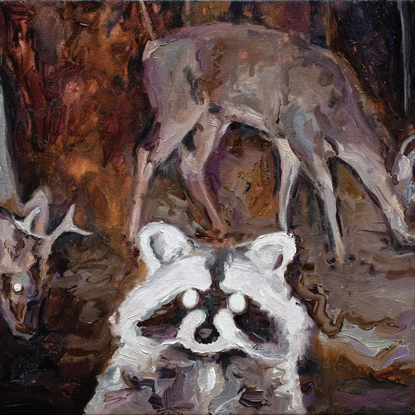 Raccoons: Nocturnal Animals II by Oleksandr Balbyshev