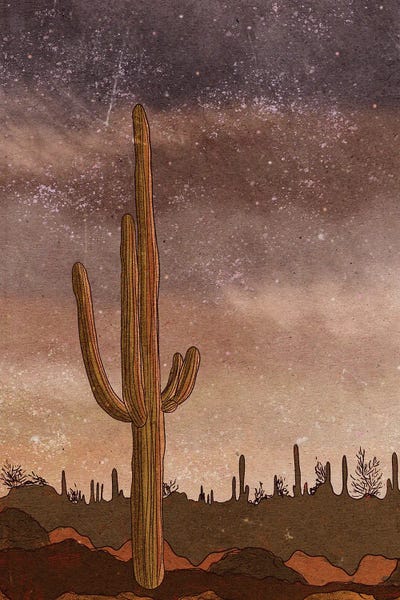 Joshua Tree National Park: Joshua Tree by Olivia Bürki