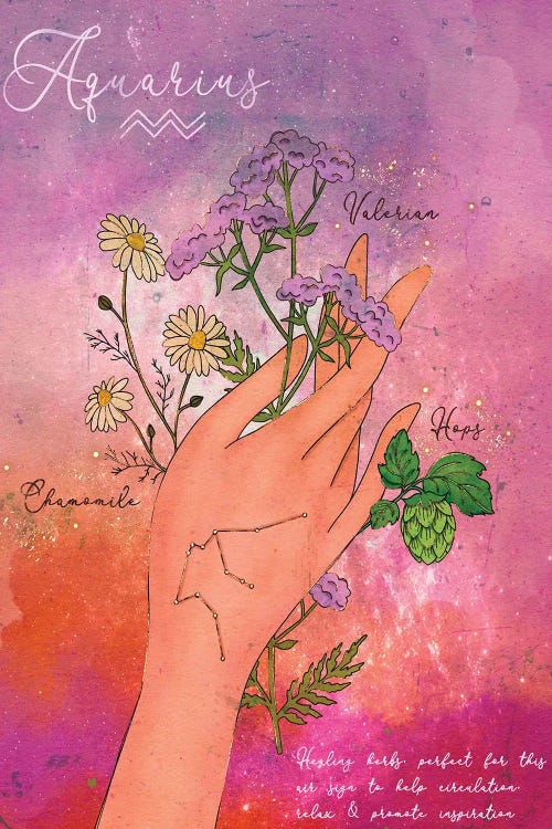 Aquarius Healing Herbs by Olivia Bürki wall art