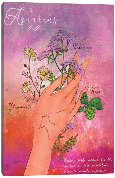 Aquarius Healing Herbs Canvas Art Print - Zodiac Art