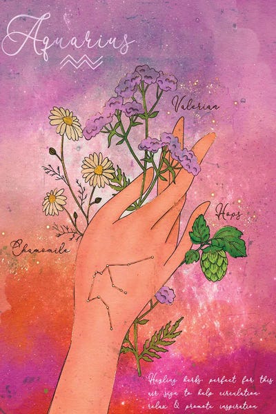 Hands: Aquarius Healing Herbs by Olivia Bürki