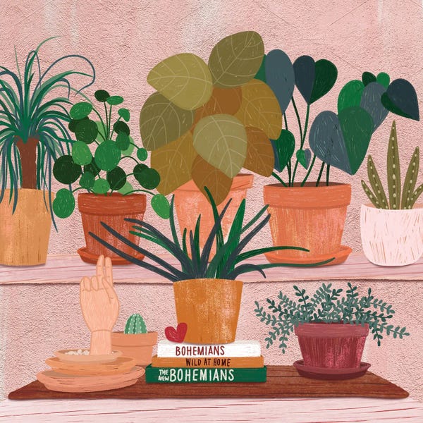 Books: Boho Plantlets by Olivia Bürki