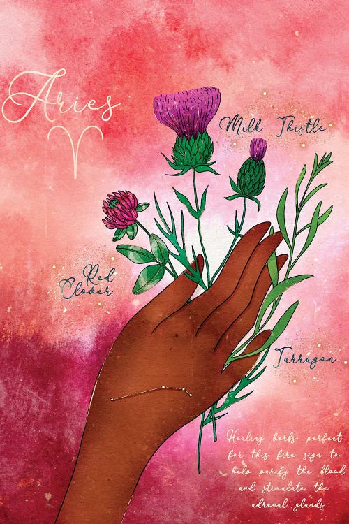 Aries Healing Herbs by Olivia Bürki wall art