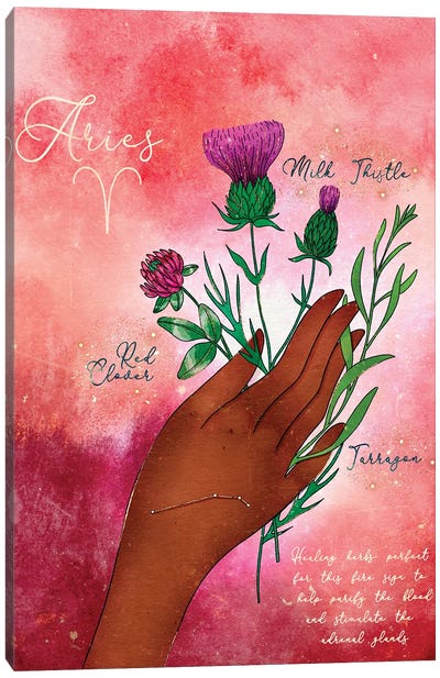 Aries Healing Herbs Canvas Art Print - Olivia Bürki