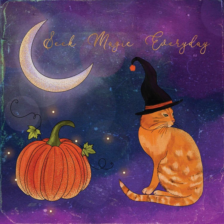 Seek Magic Everyday