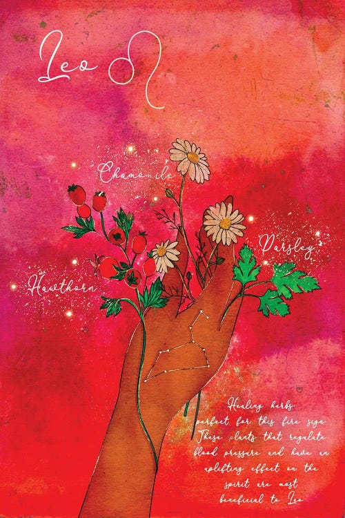 Leo Healing Herbs by Olivia Bürki wall art