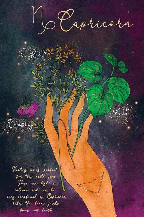 Capricorn Healing Herbs by Olivia Bürki wall art