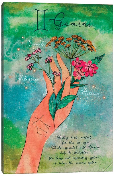 Gemini Healing Herbs Canvas Art Print - Mysticism