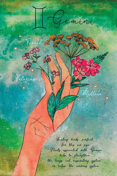 Gemini: Gemini Healing Herbs by Olivia Bürki