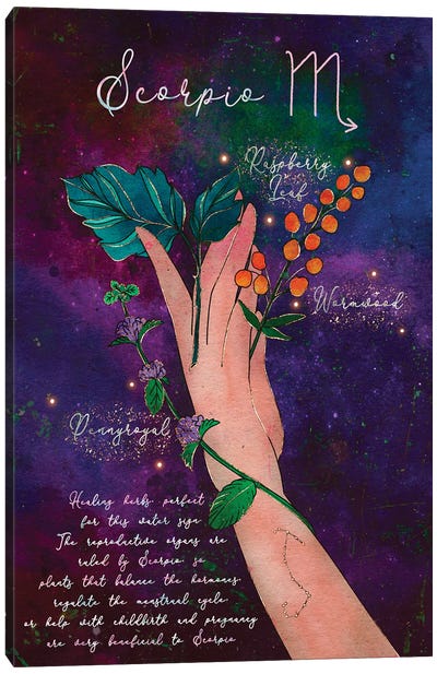 Scorpio Healing Herbs Canvas Art Print - Scorpio Art