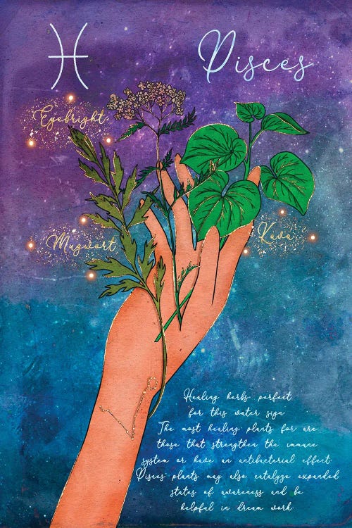Pisces Healing Herbs by Olivia Bürki wall art