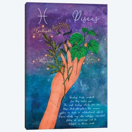 Pisces Healing Herbs Canvas Print #OBK79} by Olivia Bürki Art Print