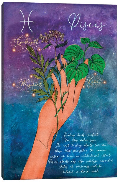 Pisces Healing Herbs Canvas Art Print - Olivia Bürki