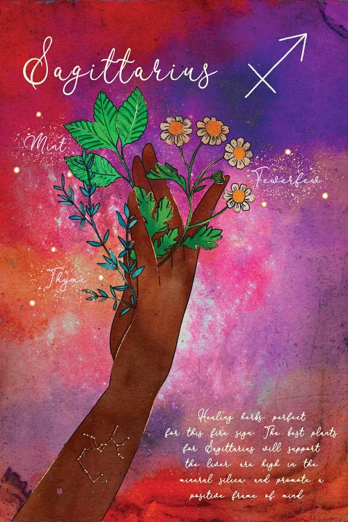 Sagittarius Healing Herbs by Olivia Bürki wall art
