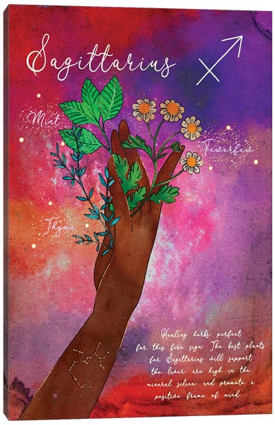 Sagittarius Healing Herbs Canvas Art Print - Olivia Bürki