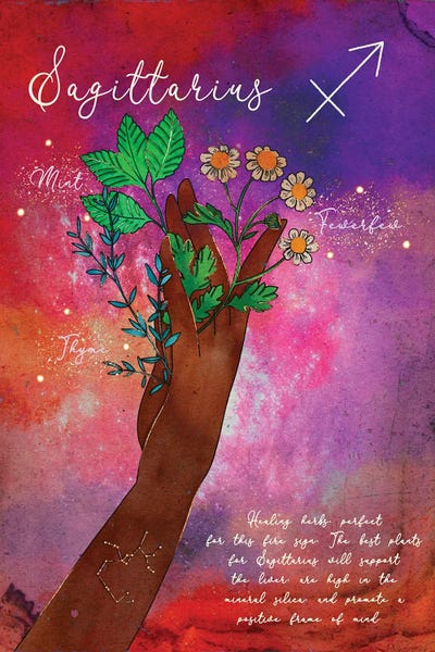 Sagittarius: Sagittarius Healing Herbs by Olivia Bürki