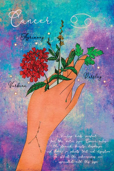 Cancer Healing Herbs by Olivia Bürki framed canvas print