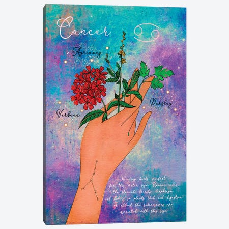 Cancer Healing Herbs Canvas Print #OBK82} by Olivia Bürki Canvas Artwork