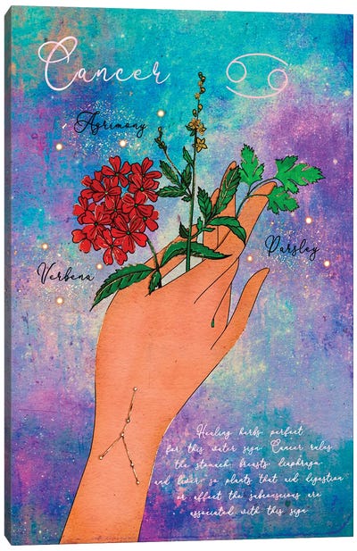 Cancer Healing Herbs Canvas Art Print - Olivia Bürki