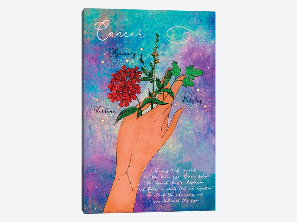 Cancer Healing Herbs by Olivia Bürki 1-piece Canvas Print
