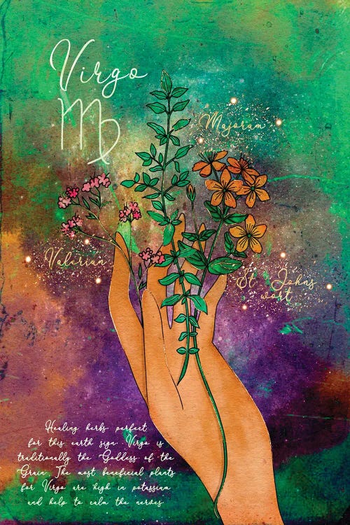 Virgo Healing Herbs by Olivia Bürki wall art