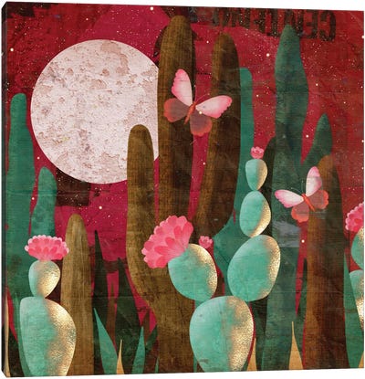 Desert Moon Magic Canvas Art Print - Olivia Bürki