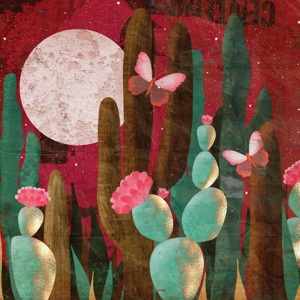 Desert Moon Magic