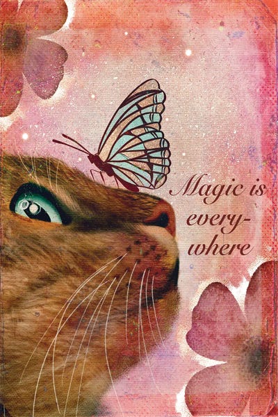 Orange Cats: Magic Is Everywhere by Olivia Bürki